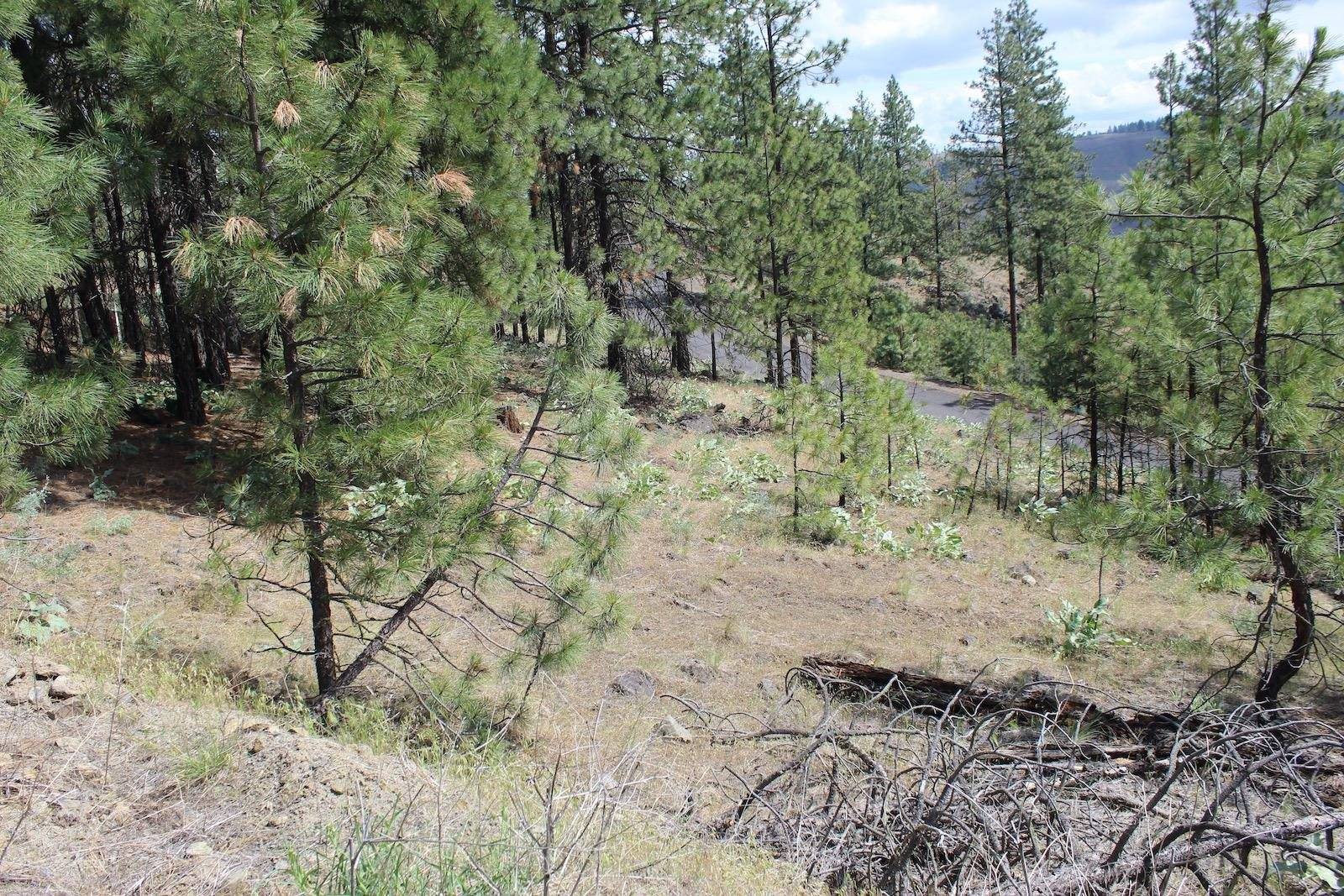 Badger Lot 1&2 Sontag Ridge Ln, Davenport, WA 99122
