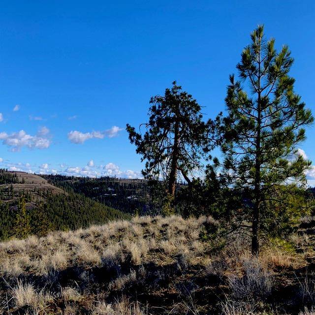 31775 Ruffed Grouse E Dr, Davenport, WA 99122