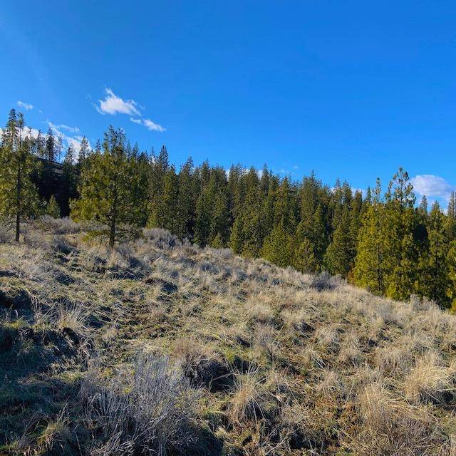 31775 Ruffed Grouse E Dr, Davenport, WA 99122