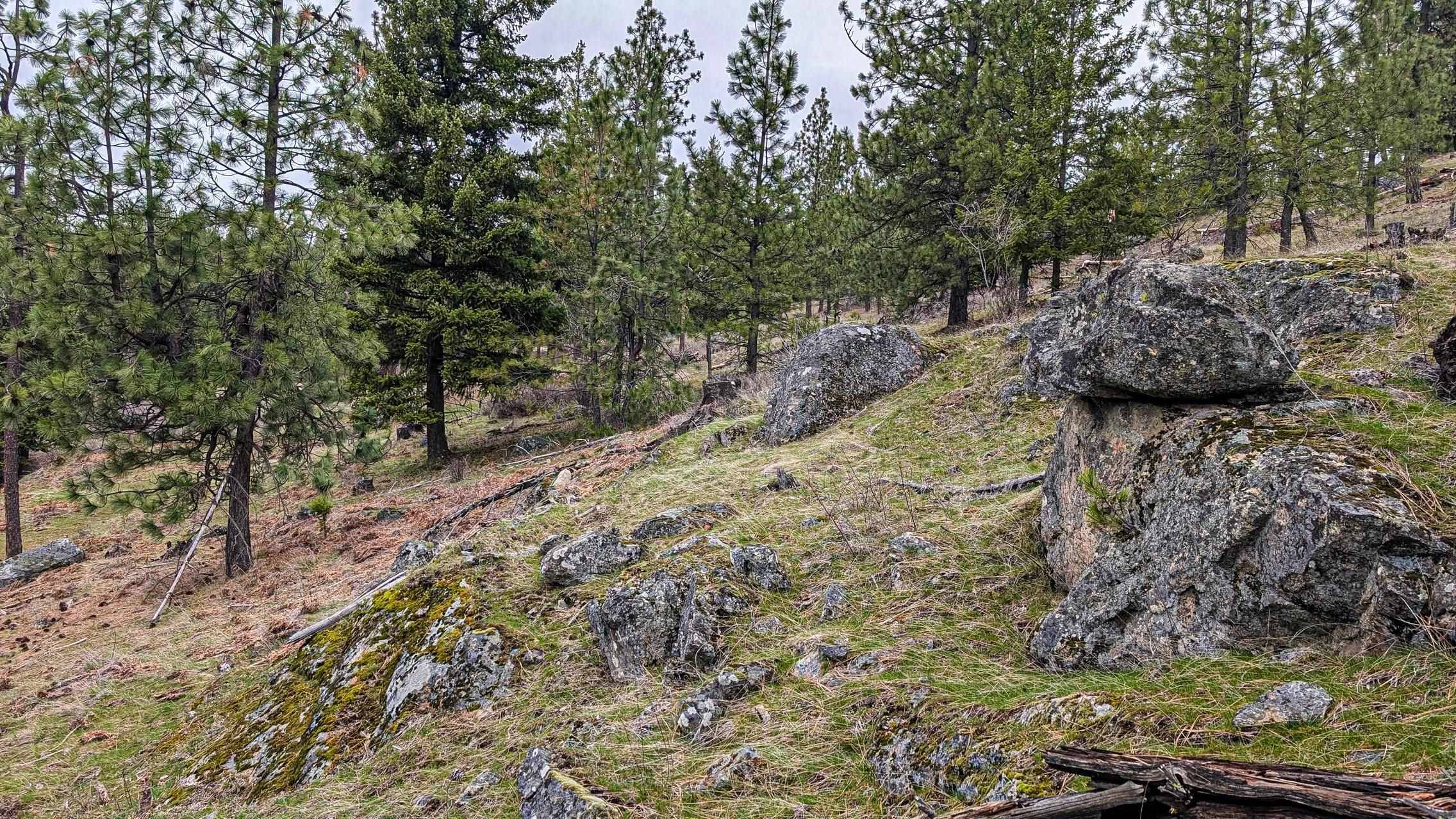 Lot 29 Barbi Ct, Chattaroy, WA 99003
