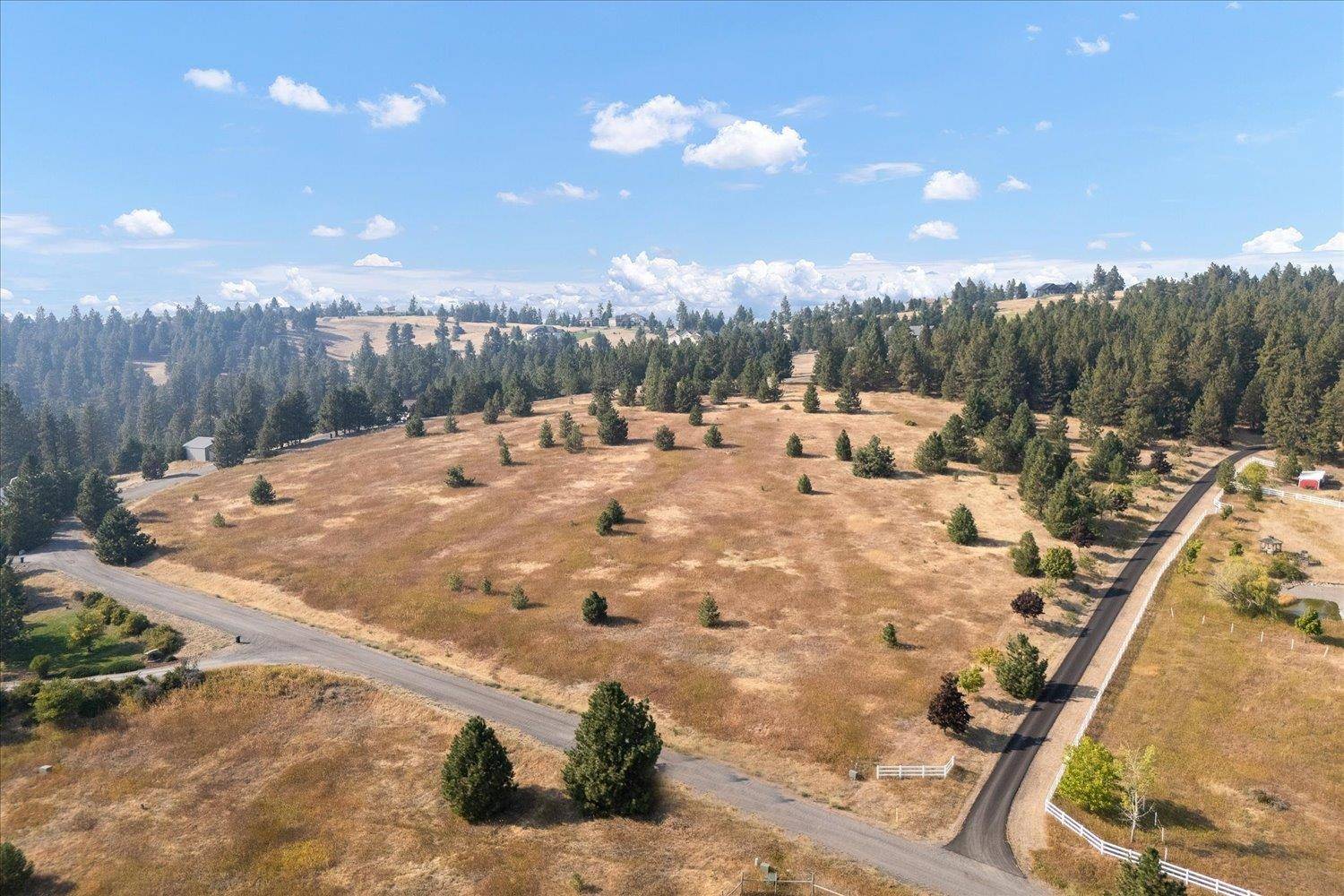15013 S Palomino Ln, Mica, WA 99023