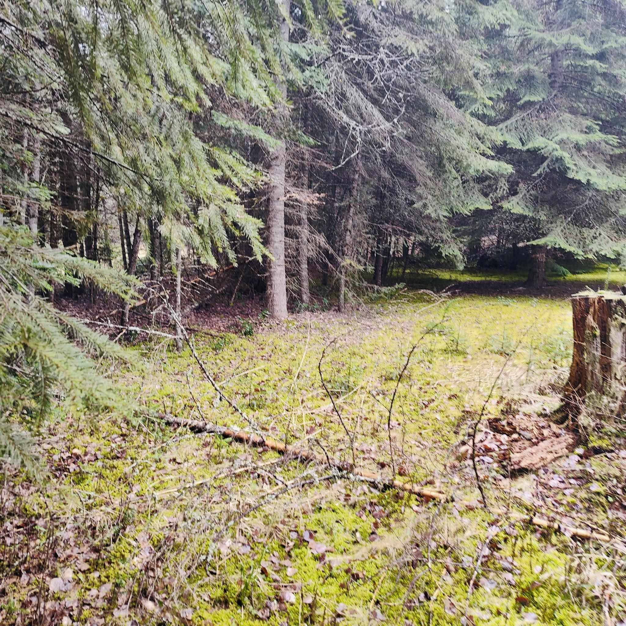 1101 Larch Ln, Cusick, WA 99119