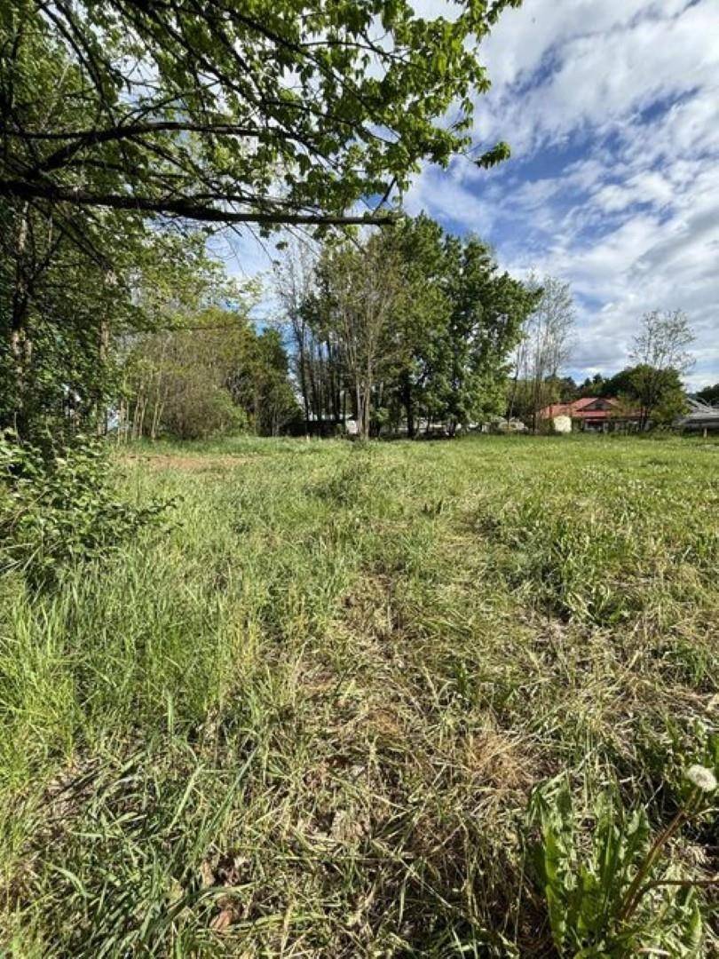 3XX E 5th Ave, Kettle Falls, WA 99141-0000