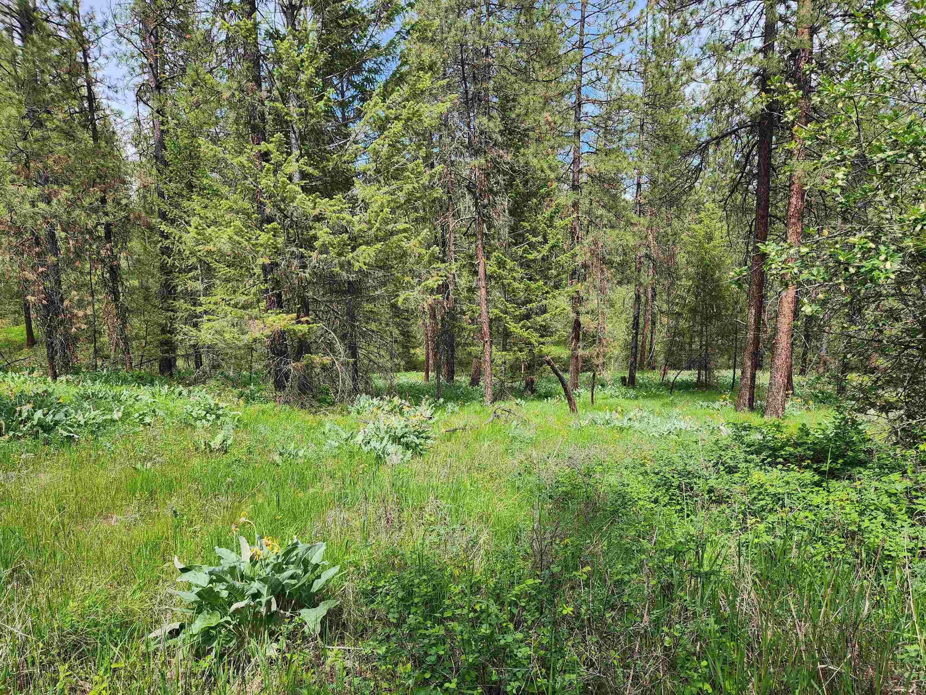 6269 Miller Mountain Rd, Fruitland, WA 99129