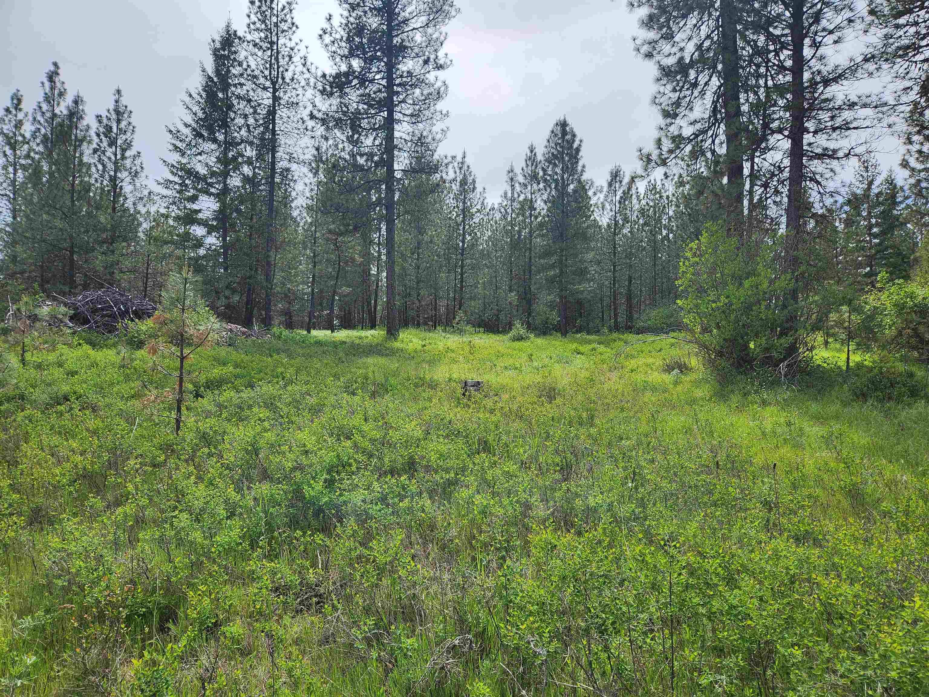 6269 Miller Mountain Rd, Fruitland, WA 99129