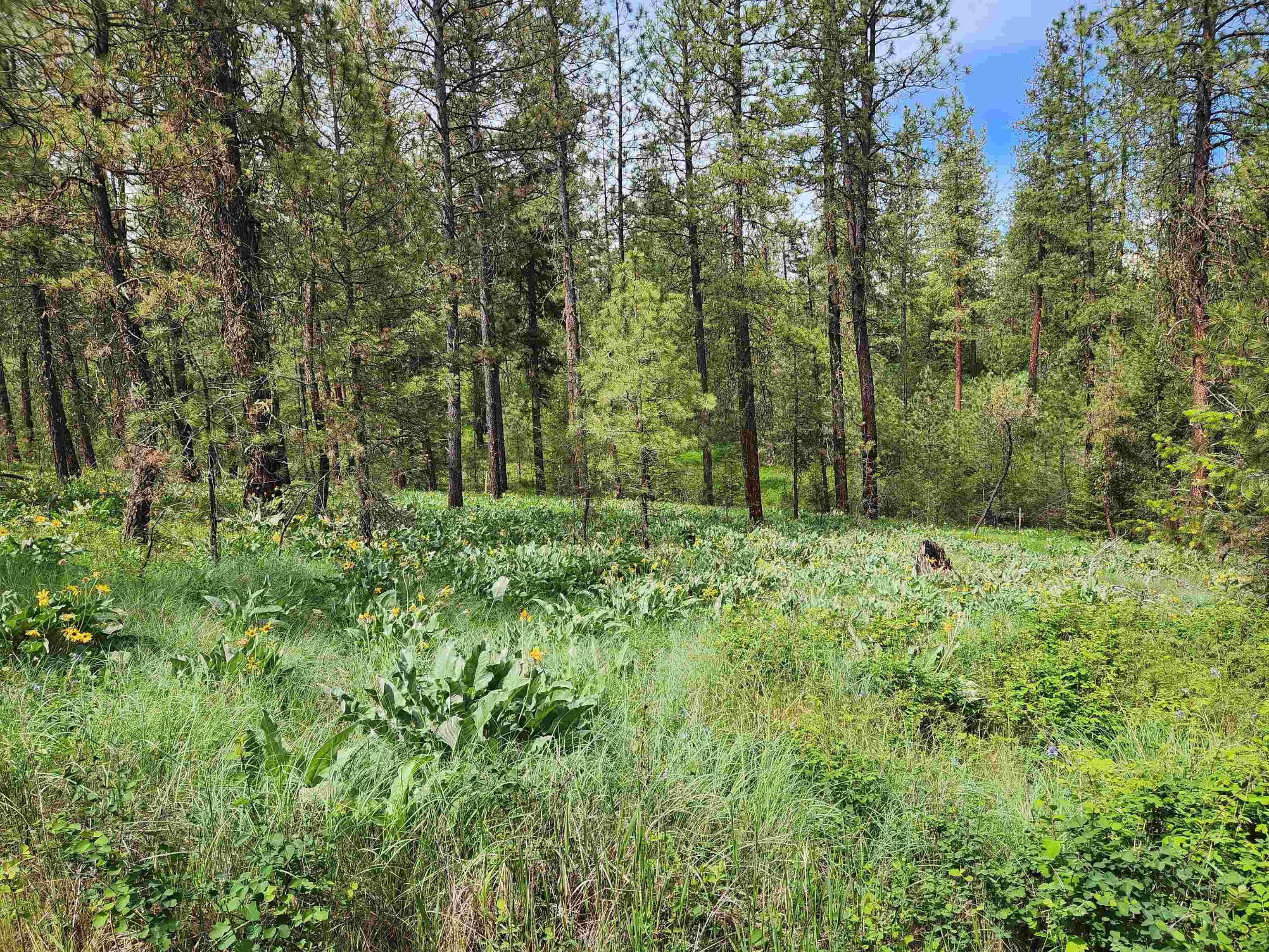 6269 Miller Mountain Rd, Fruitland, WA 99129