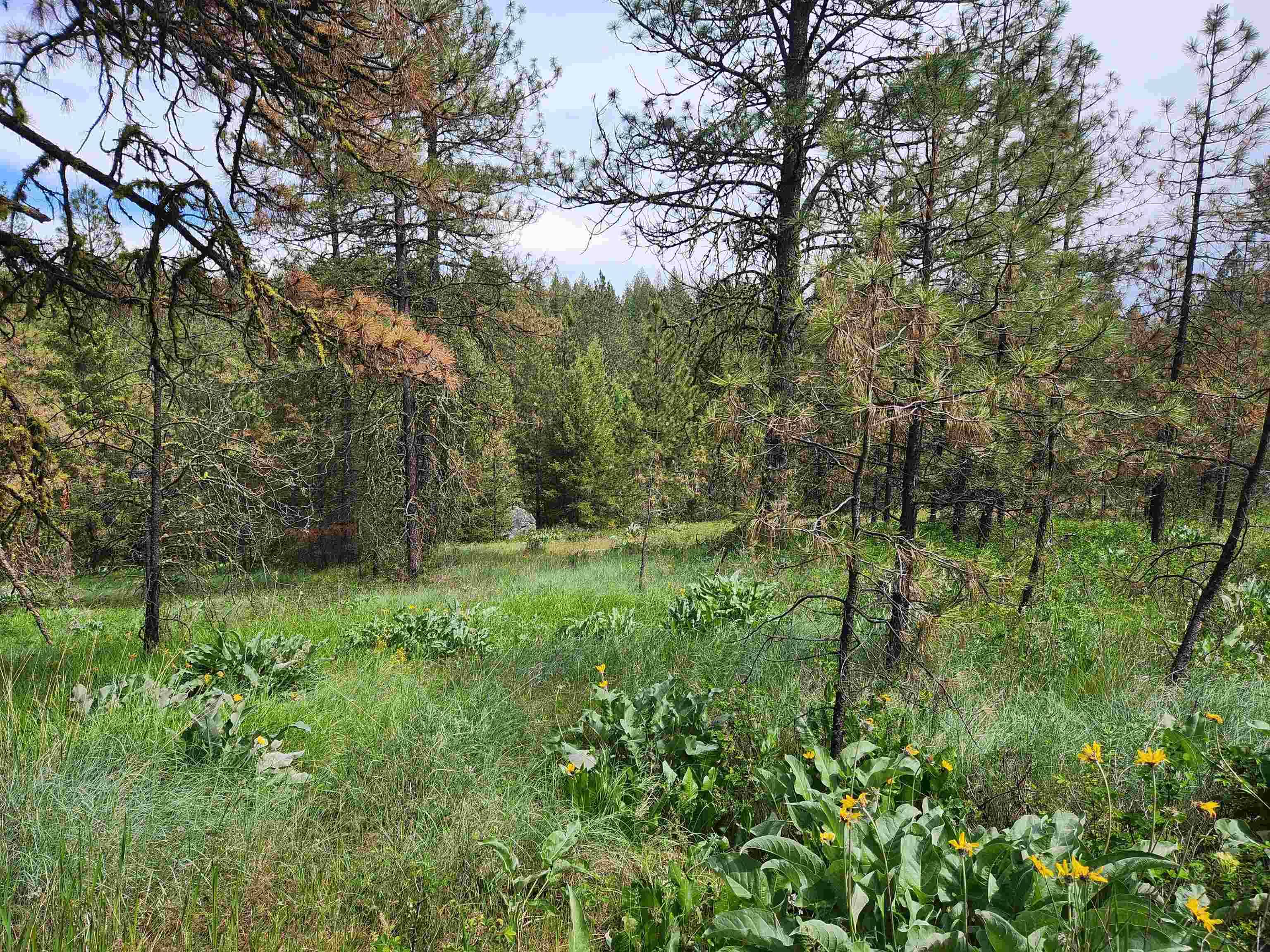 6269 Miller Mountain Rd, Fruitland, WA 99129
