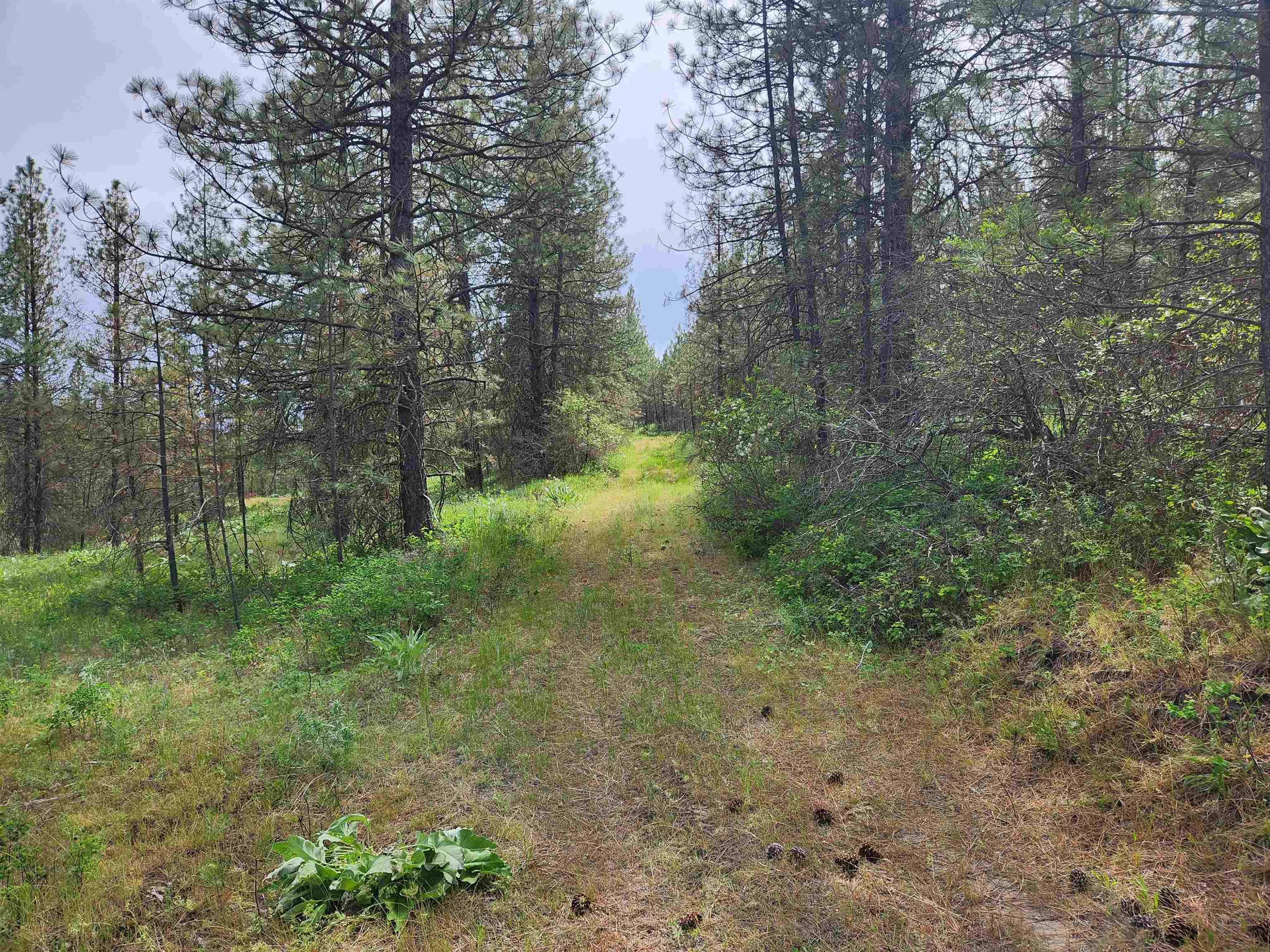 6269 Miller Mountain Rd, Fruitland, WA 99129