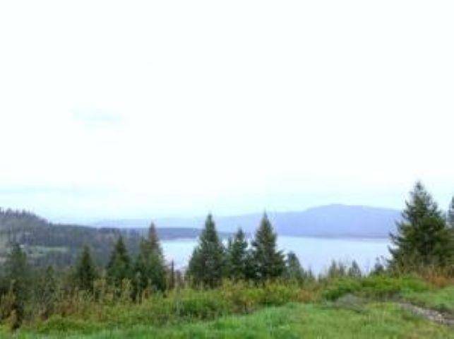 101 W Harter WAY, Kettle Falls, WA 99141-9941