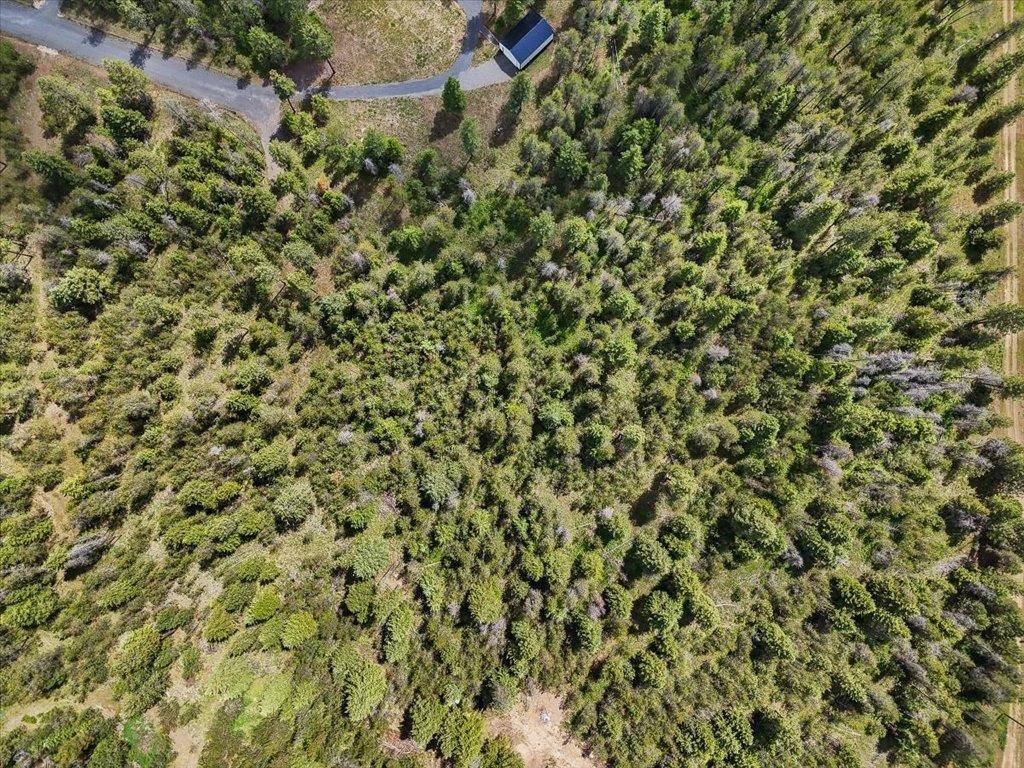 3834 Meadowlark WAY, Loon Lake, WA 99148