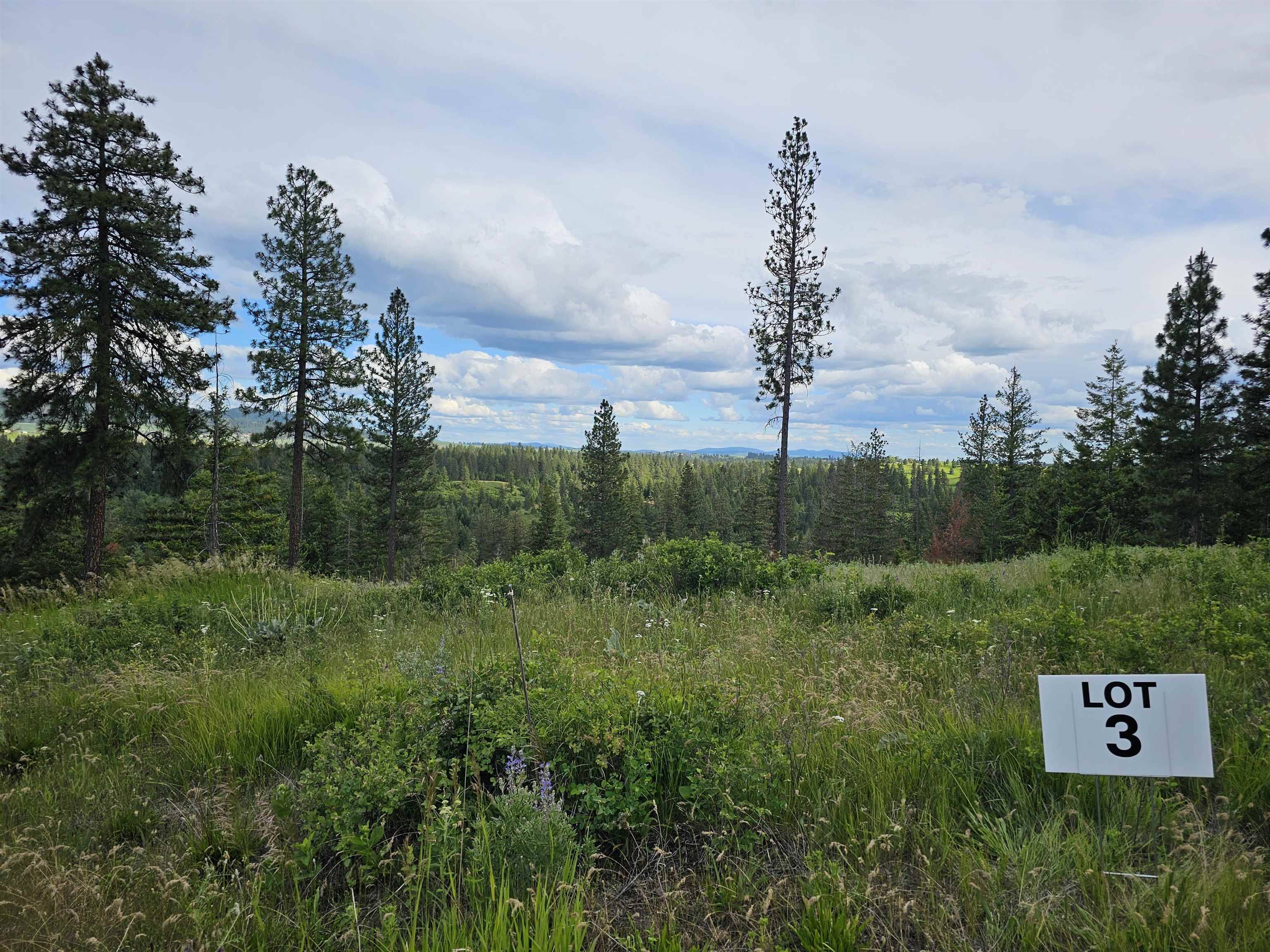 NNA S Sands Rd #Lot 3, Valleyford, WA 99036