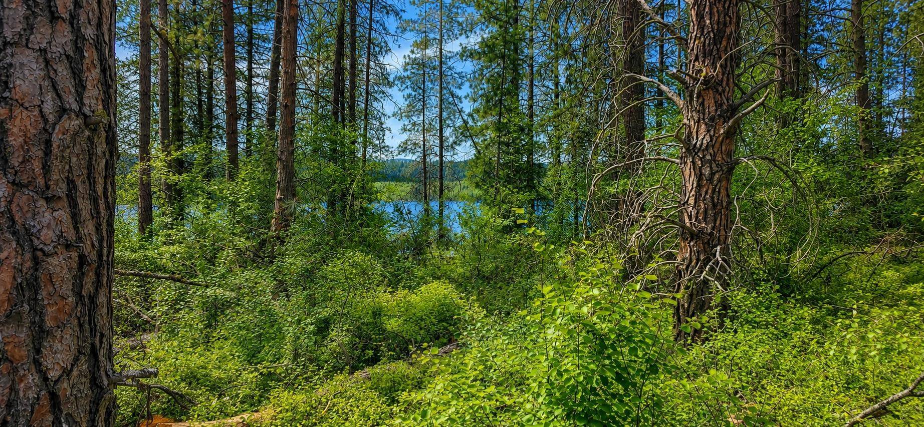 XXX Hwy 25 S Hwy, Gifford, WA 99131