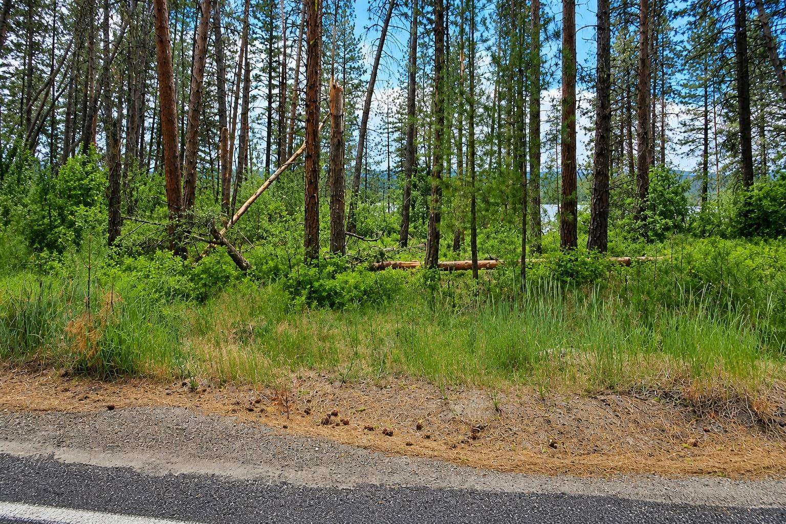 XXX Hwy 25 S Hwy, Gifford, WA 99131