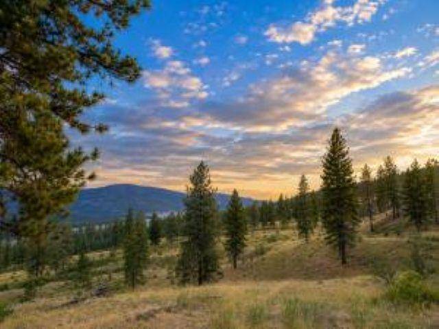 7 BALLARD Ave, Kettle Falls, WA 99141-9941