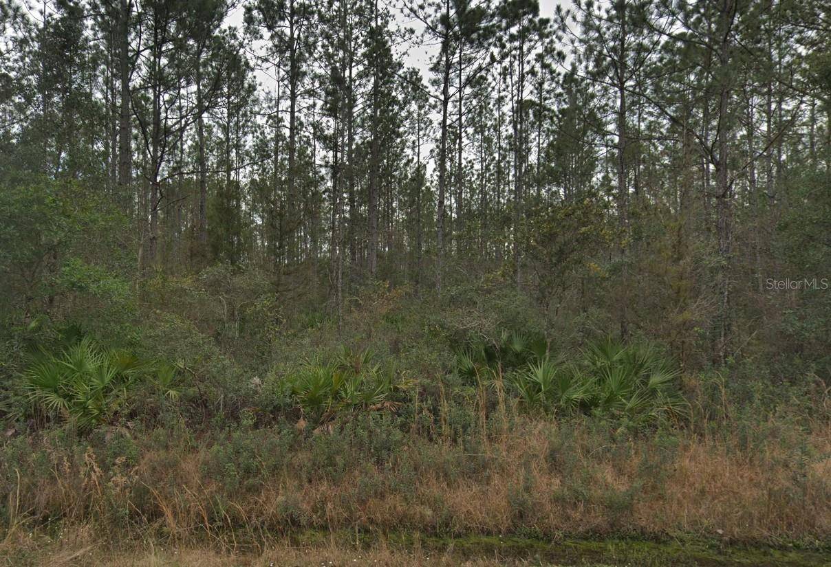 0000 EDWARD ST, Hastings, FL 32145