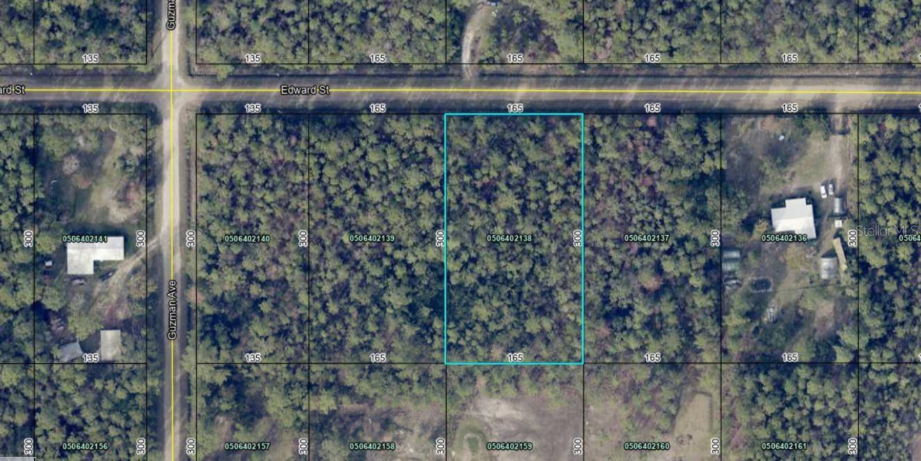 0000 EDWARD ST, Hastings, FL 32145