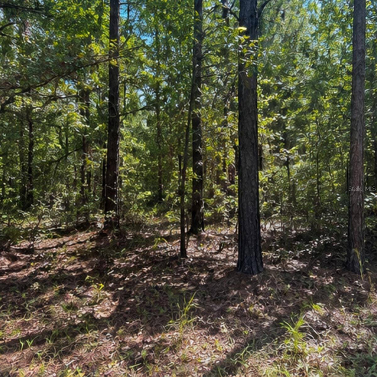 ROCHELLE LN, Crestview, FL 32539