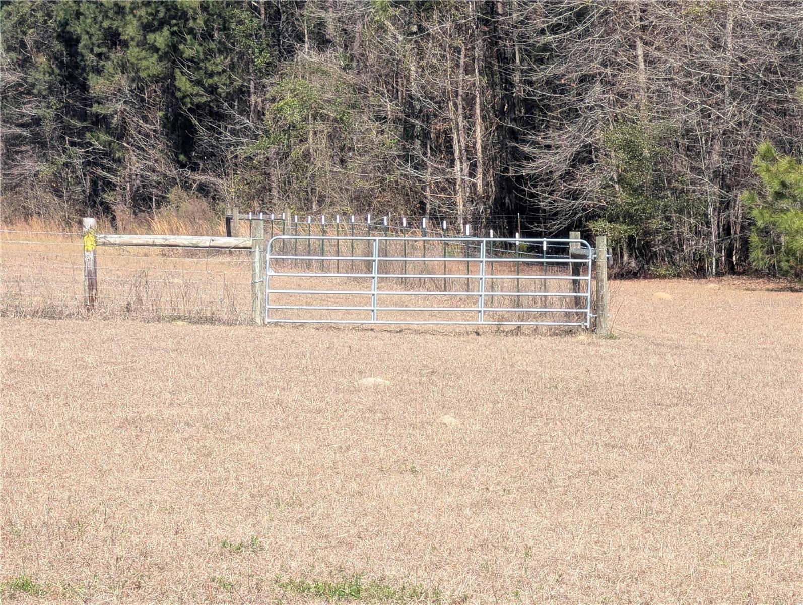 4052 US 431, Eufaula, AL 36072
