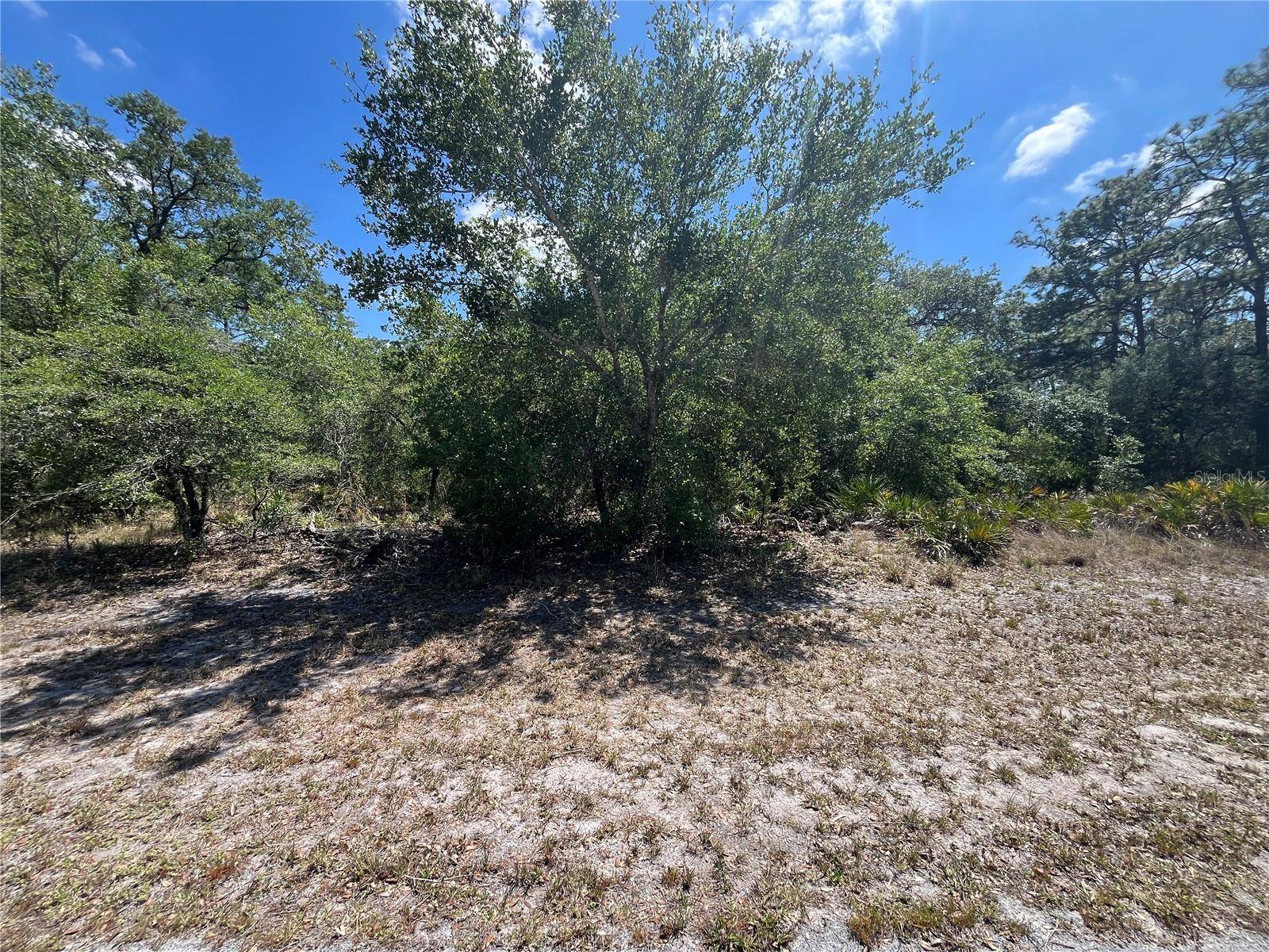 OLEANDER DR, Indian Lake Estates, FL 33855