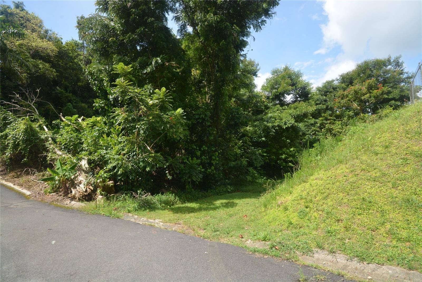 Bo. Marzan PR-820, Toa Alta, PR 00953