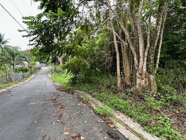 CAMPO NUEVO-AZUCENA 2, Vega Alta, PR 00692