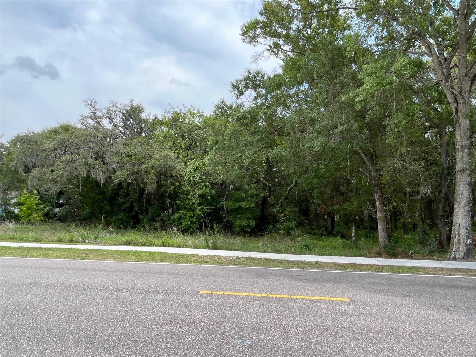 12120 HICKS RD, Hudson, FL 34669
