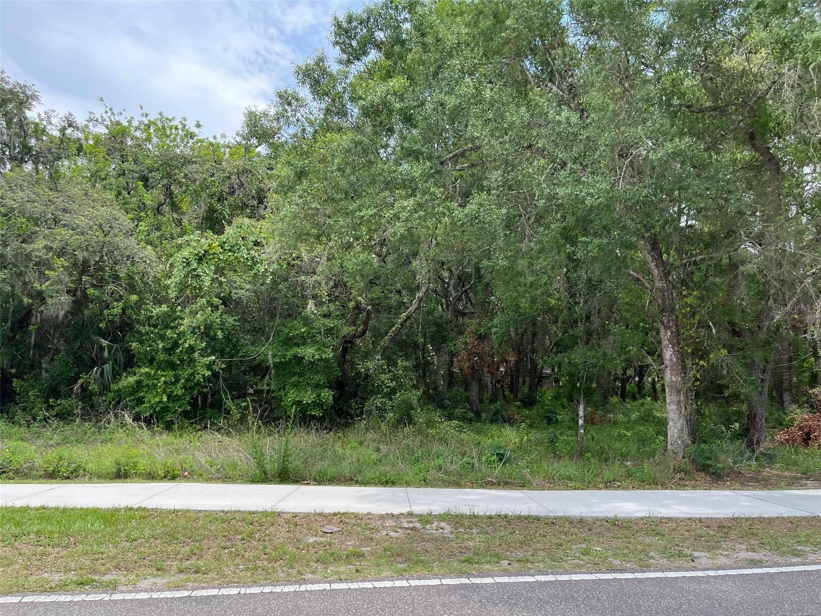 12120 HICKS RD, Hudson, FL 34669