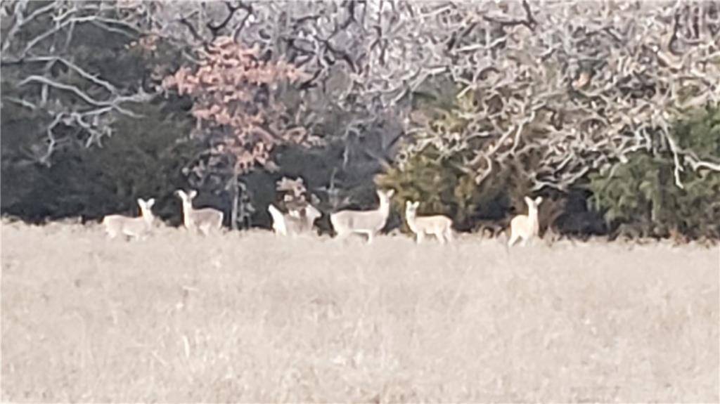 Tract 2 Waco RD, Bethel Acres, OK 74851