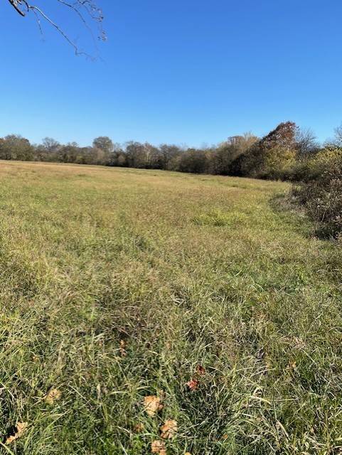 0 Old Nashville Dirt Rd, Shelbyville, TN 37160