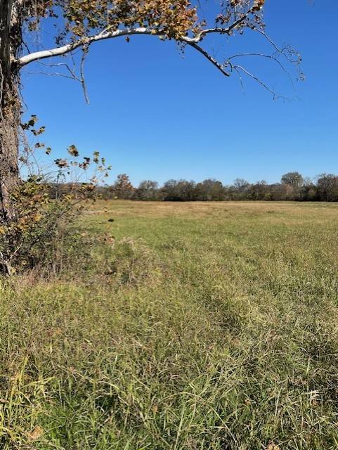 0 Old Nashville Dirt Rd, Shelbyville, TN 37160