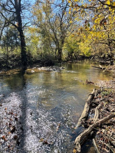 0 Old Nashville Dirt Rd, Shelbyville, TN 37160