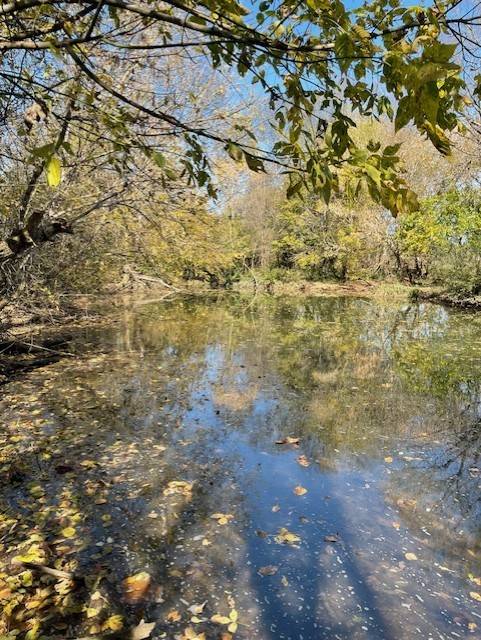 0 Old Nashville Dirt Rd, Shelbyville, TN 37160
