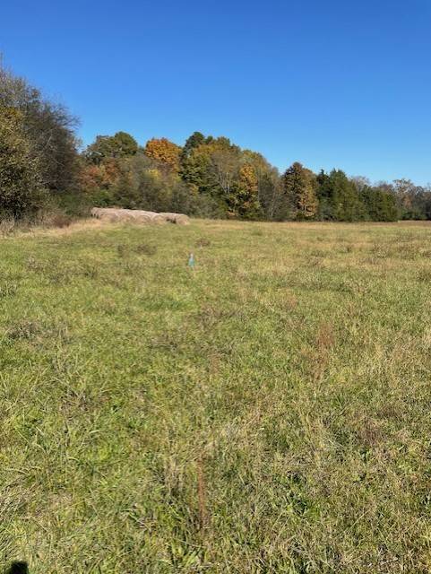 0 Old Nashville Dirt Rd, Shelbyville, TN 37160