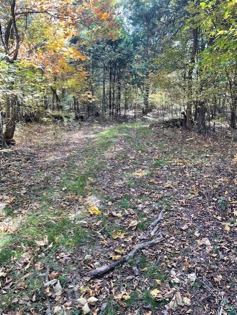 0 Old Nashville Dirt Rd, Shelbyville, TN 37160