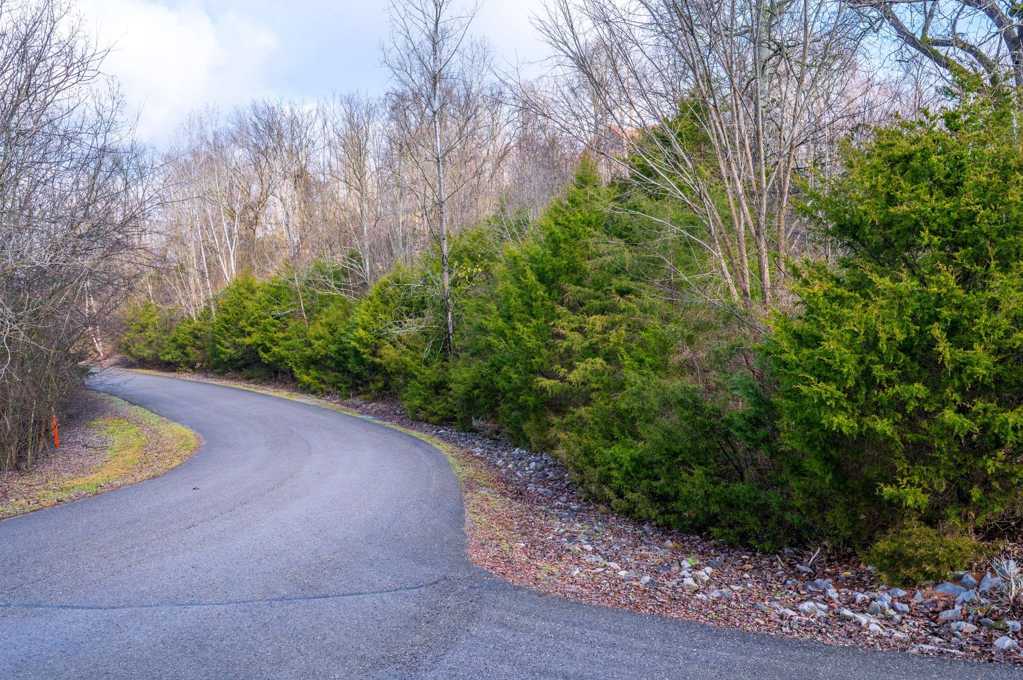 0 Lake Meadow Dr, Smithville, TN 37166