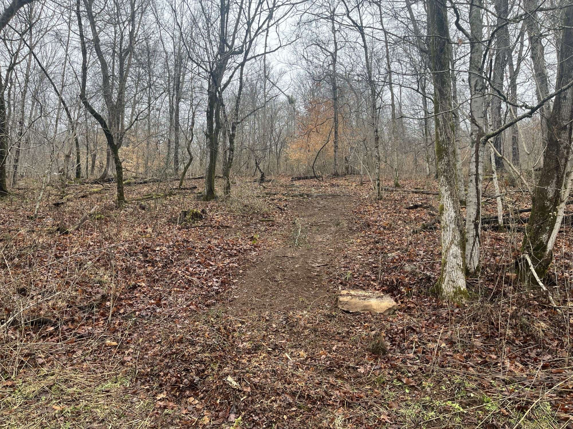 0 Cathcart Rd, Frankewing, TN 38459