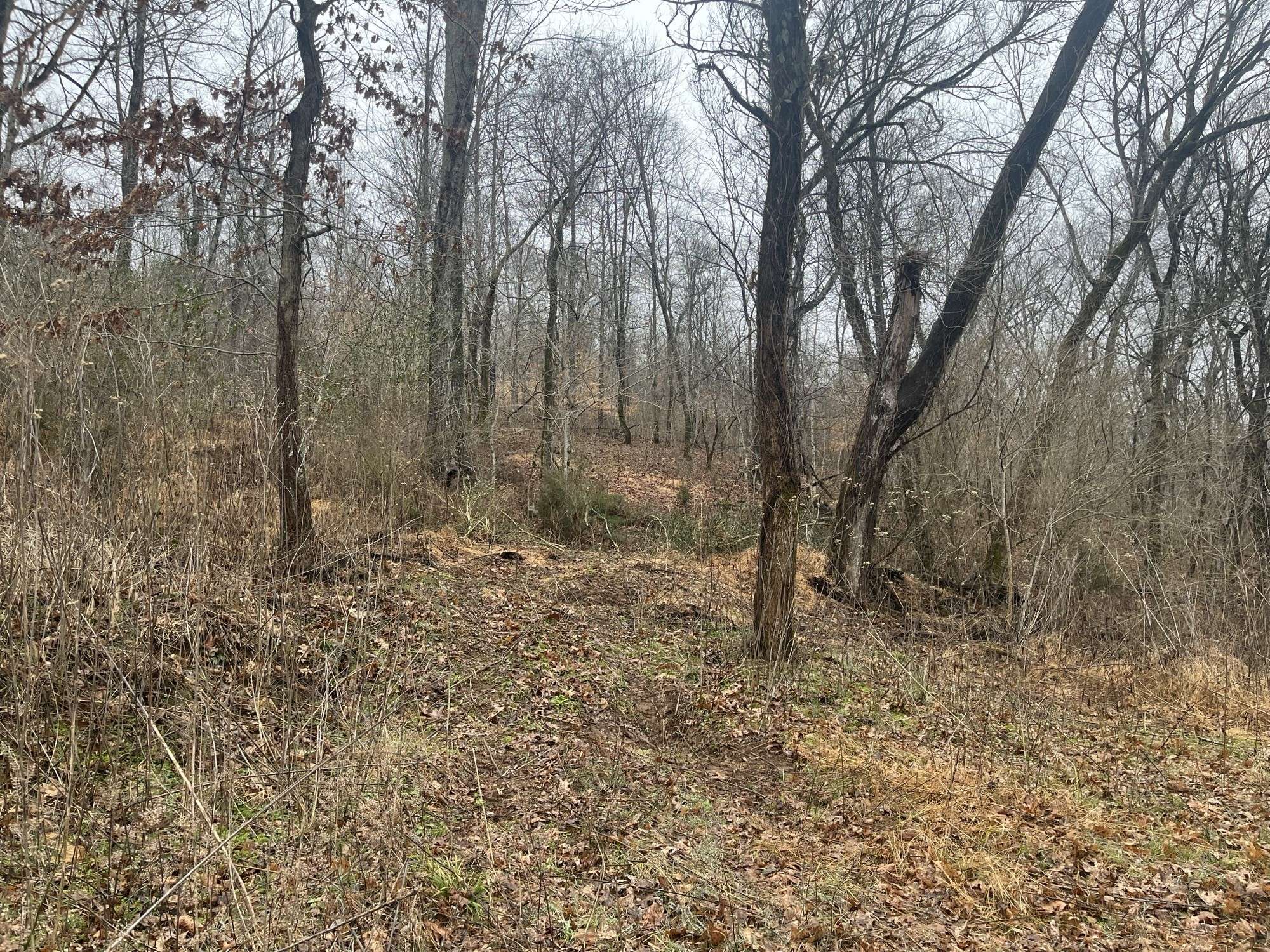 0 Cathcart Rd, Frankewing, TN 38459