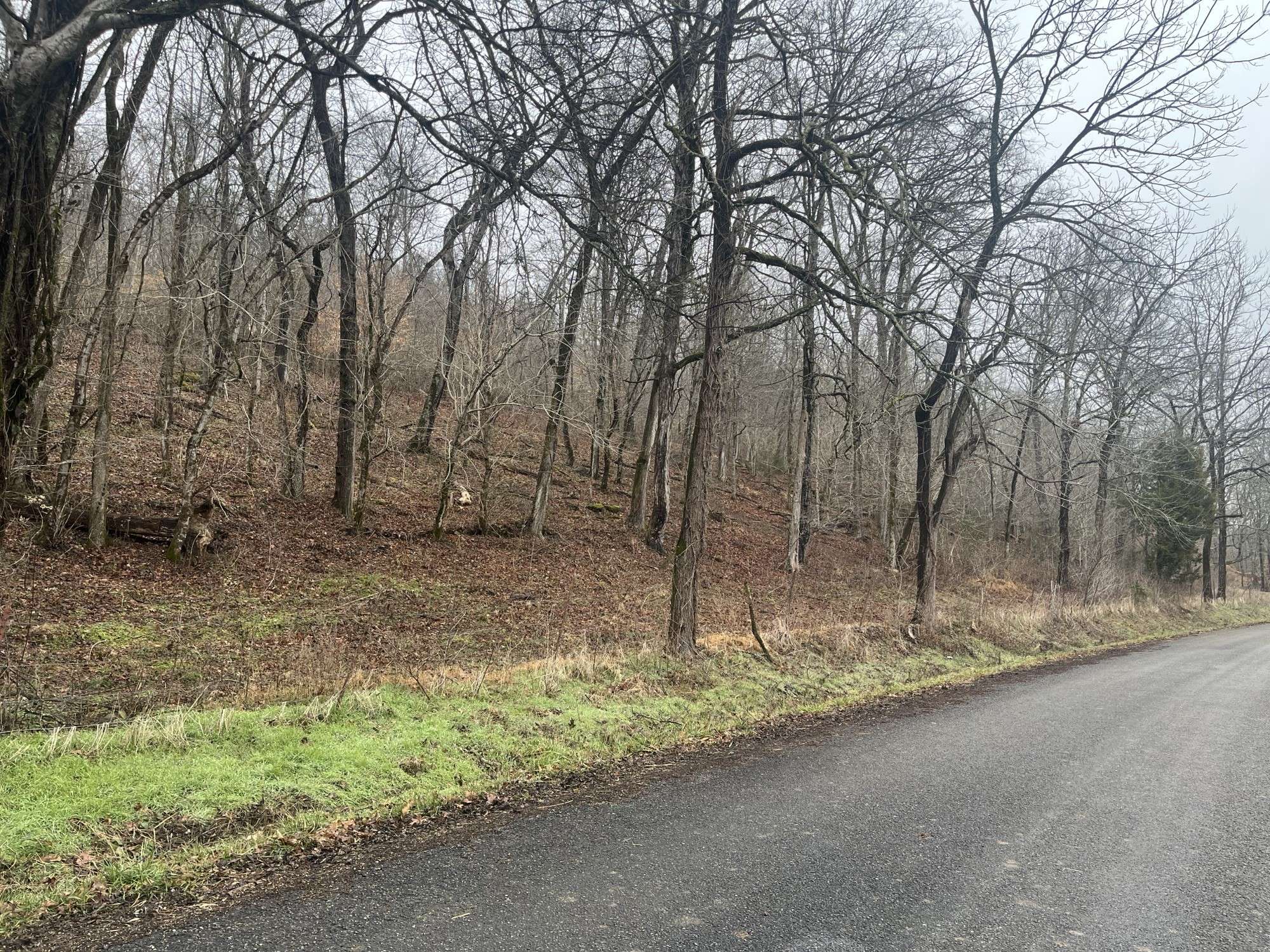 0 Cathcart Rd, Frankewing, TN 38459