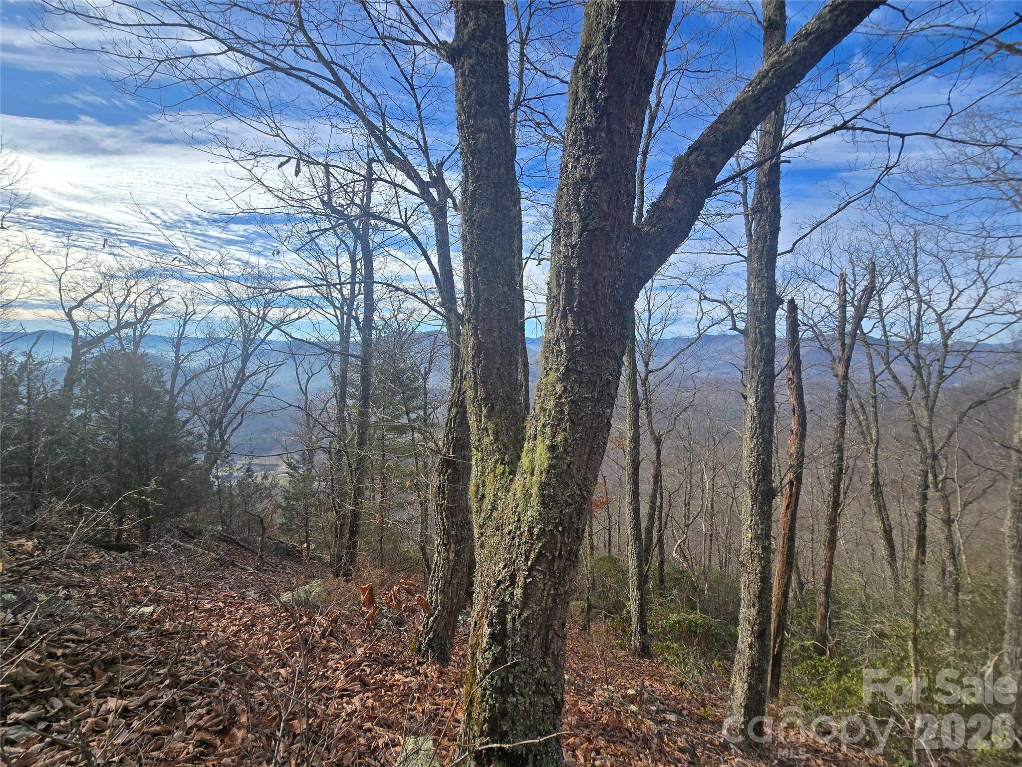 0000 Black Mountain RD #52, Cullowhee, NC 28723