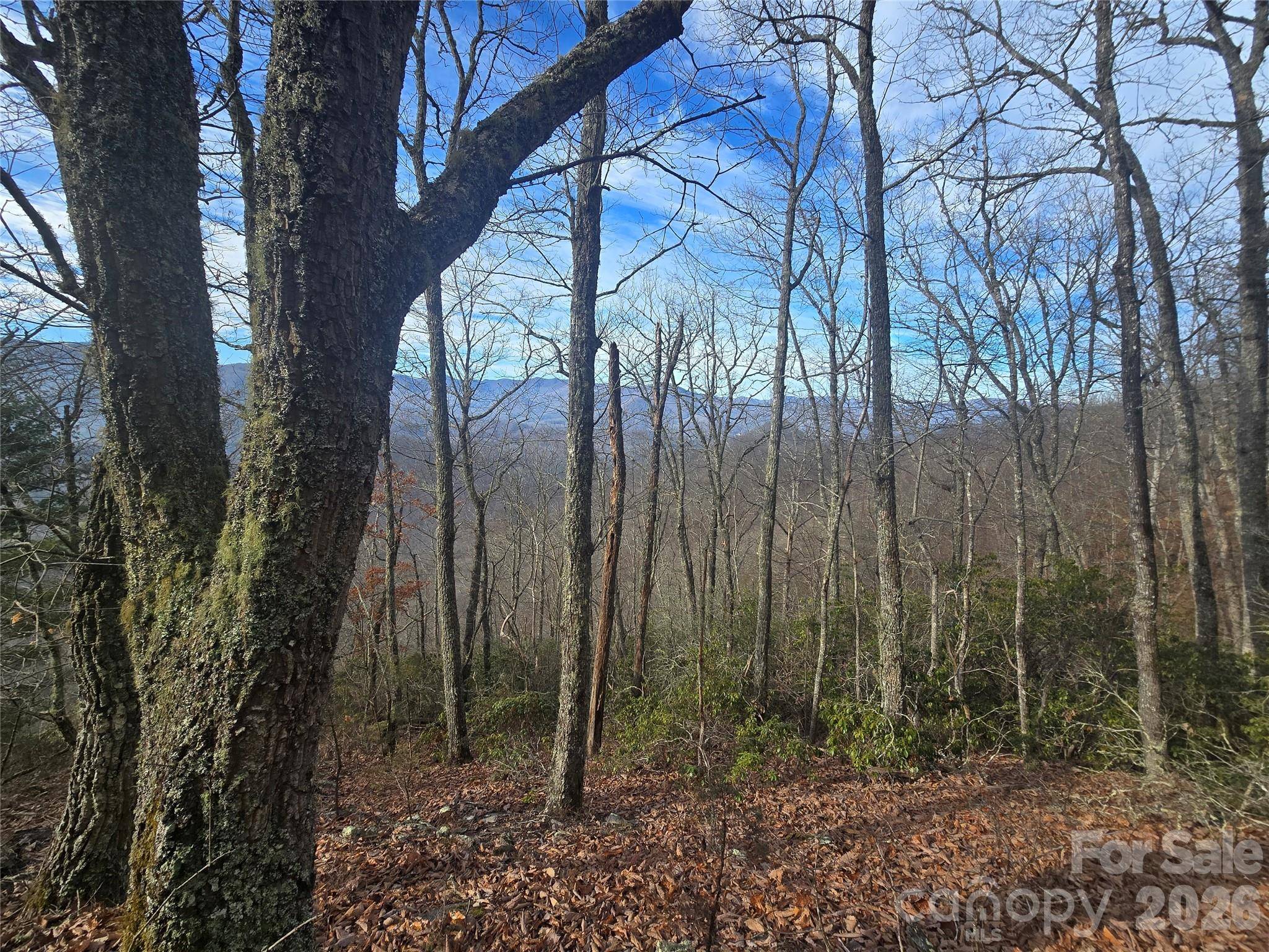 0000 Black Mountain RD #52, Cullowhee, NC 28723