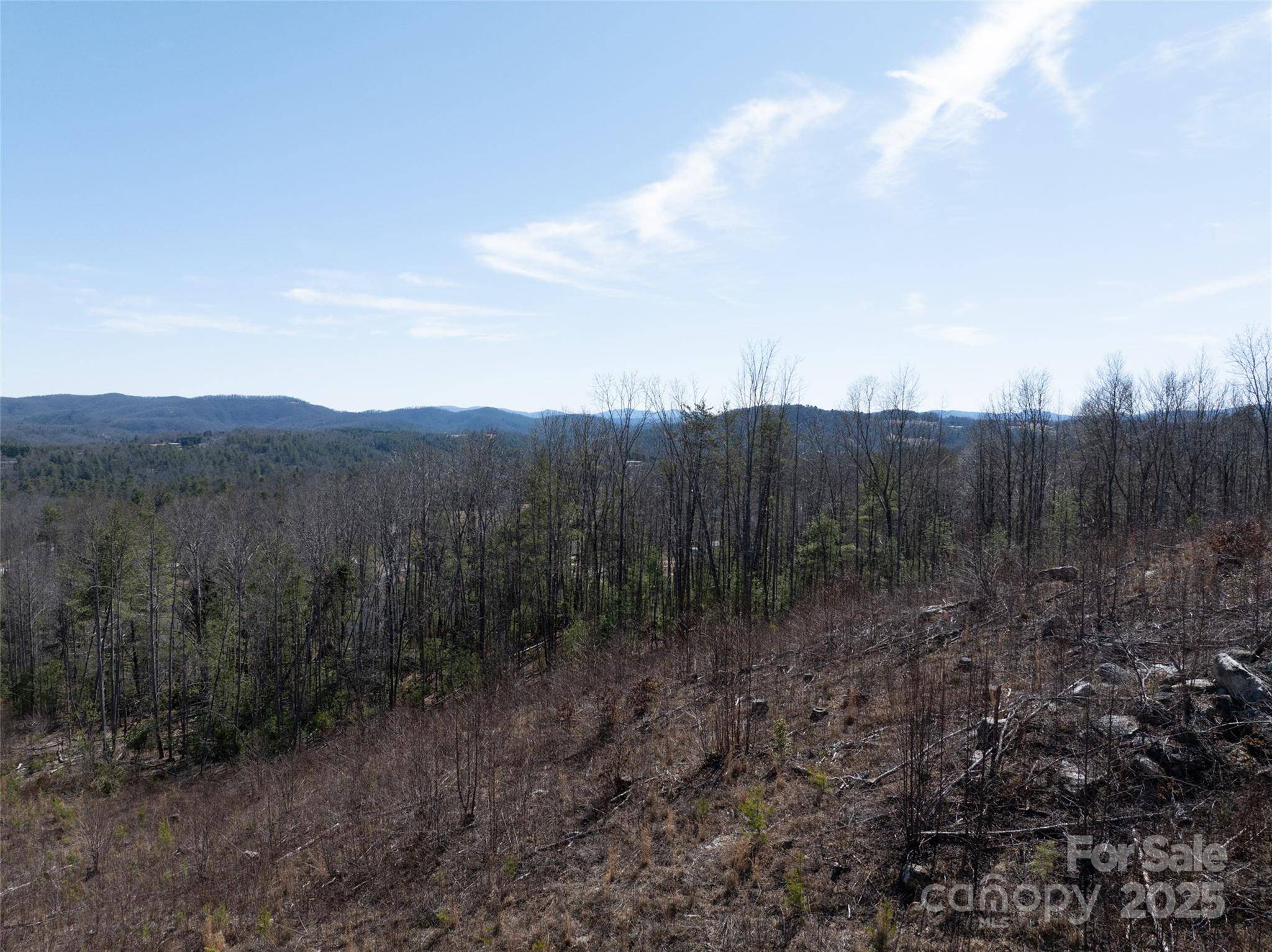 00 Star Point DR #09, Hendersonville, NC 28792