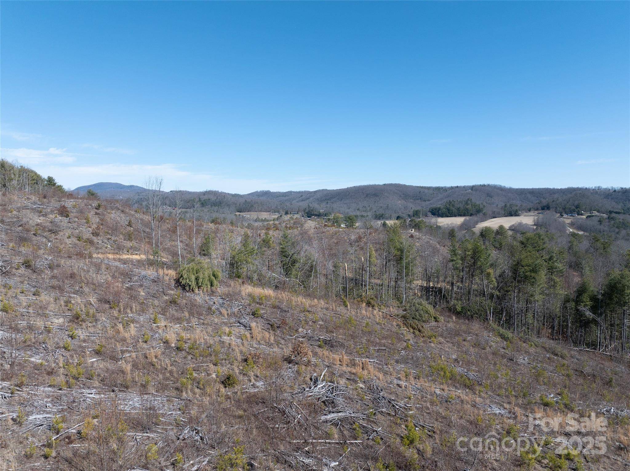 00 Star Point DR #09, Hendersonville, NC 28792
