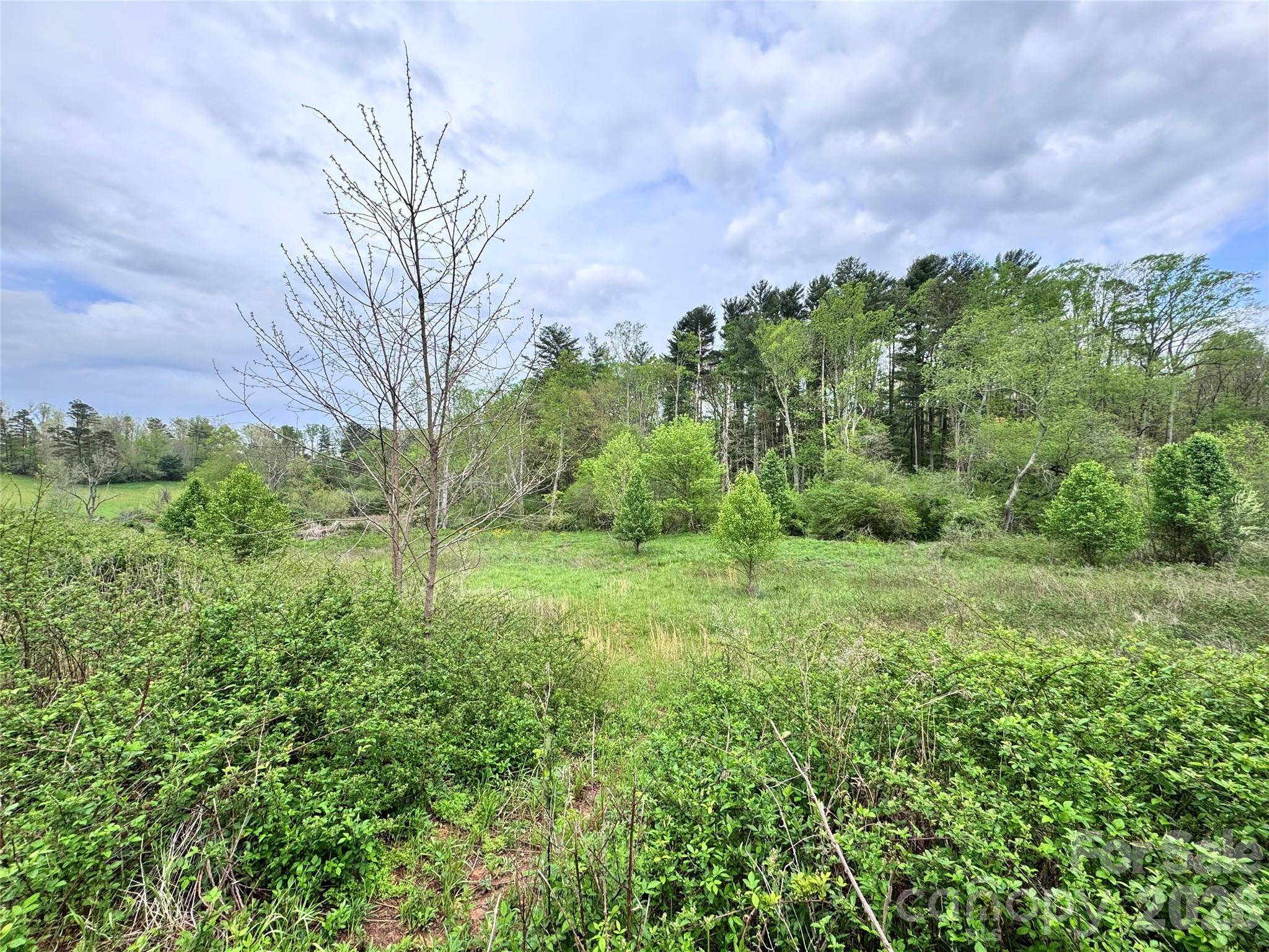 38 Flourish Farm LN, Asheville, NC 28806