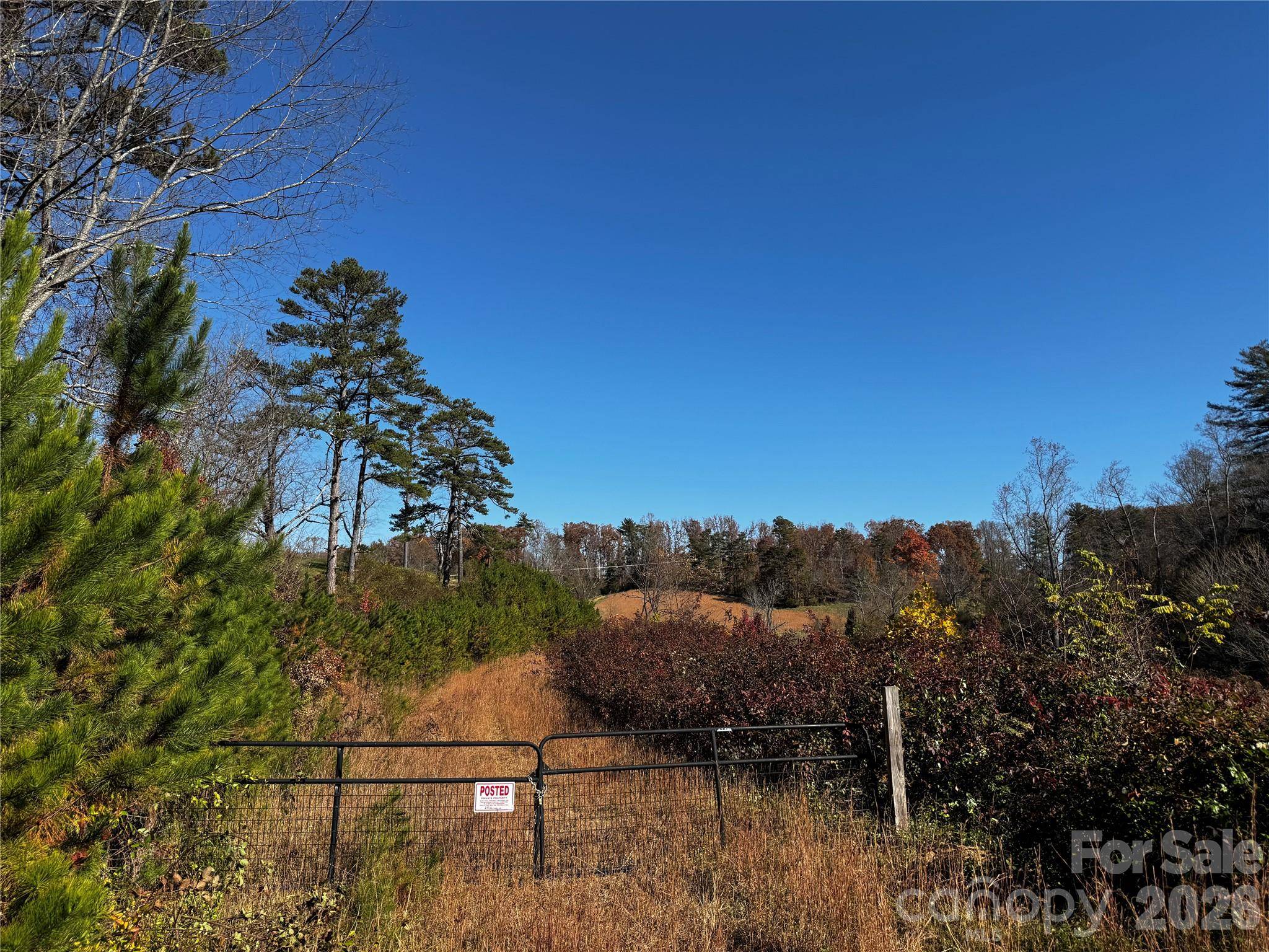 38 Flourish Farm LN, Asheville, NC 28806