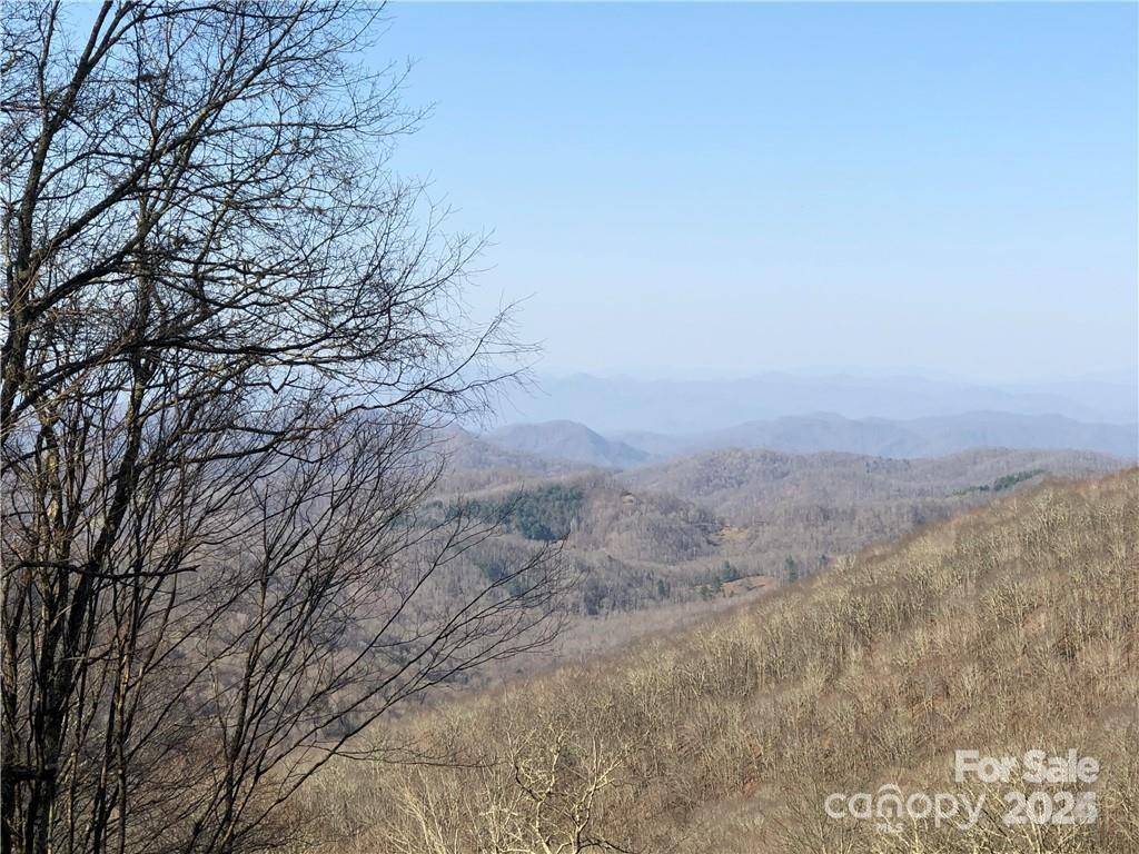 285 Granny Lewis LN, Mars Hill, NC 28754