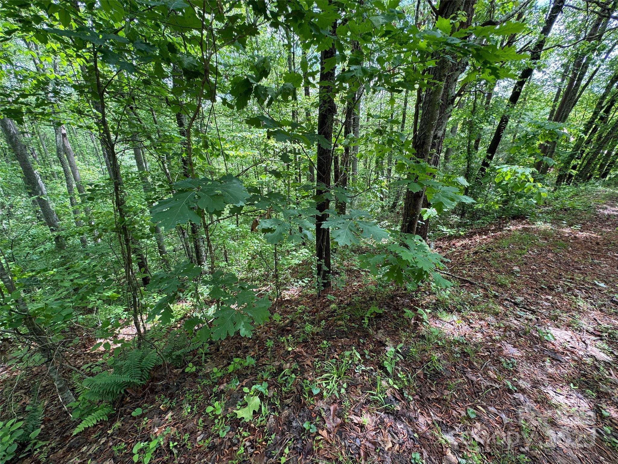 99999 Morning Star DR #Lot 13, Leicester, NC 28748
