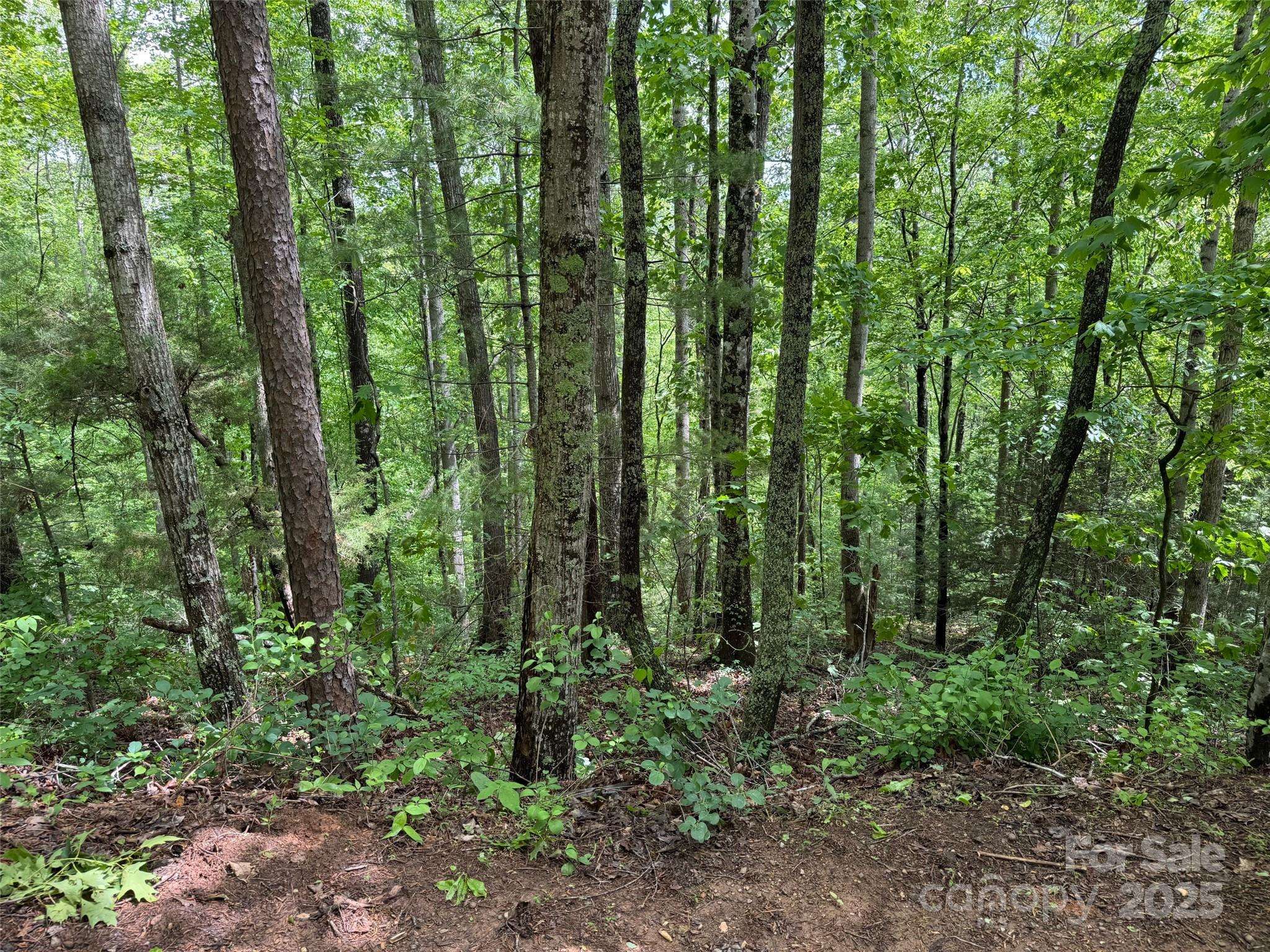 99999 Morning Star DR #Lot 13, Leicester, NC 28748