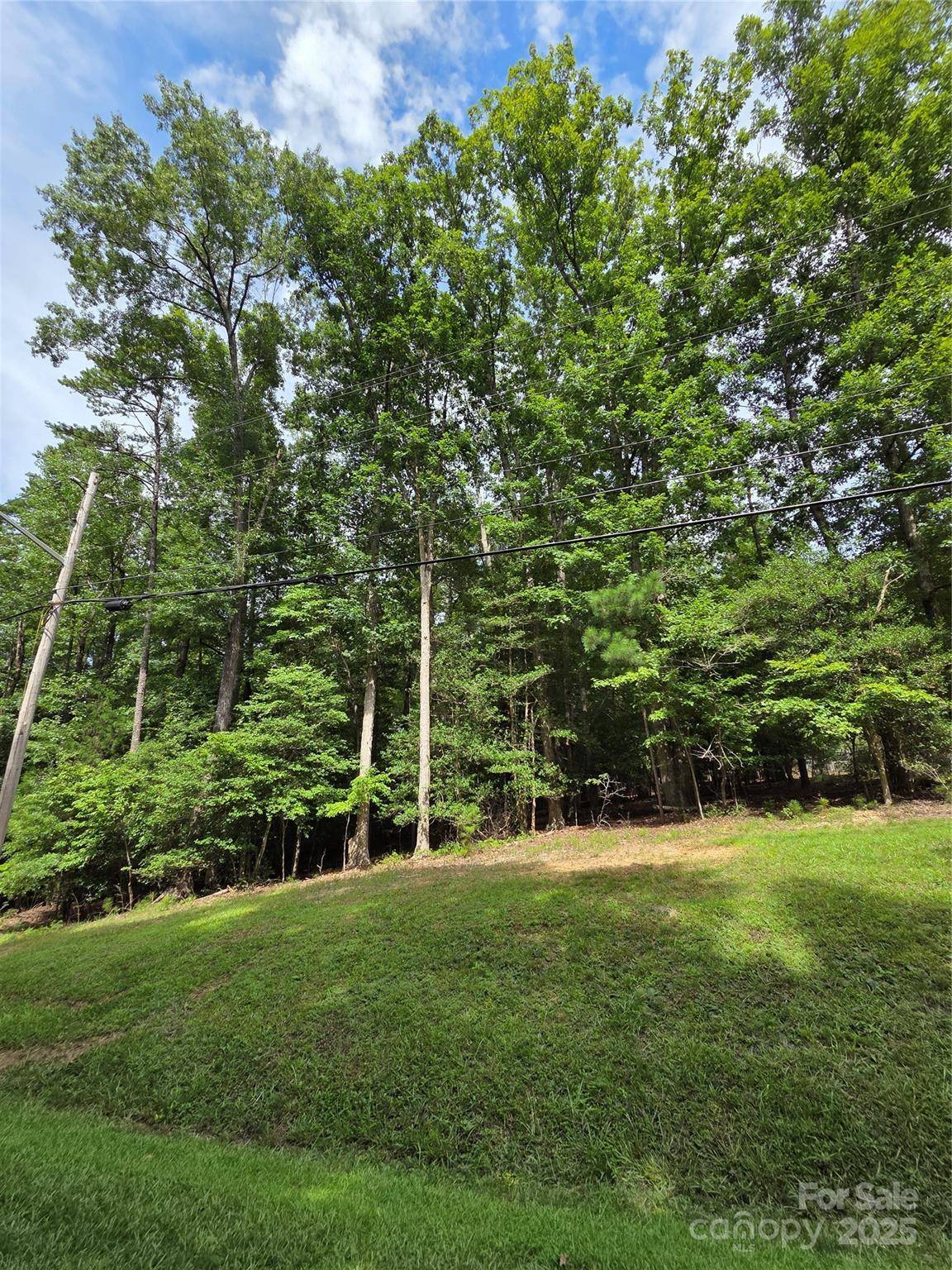 242 Creswell RD, Mount Gilead, NC 27306