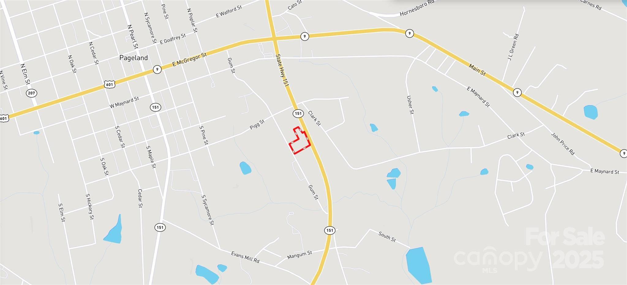 510 Van Lingle Mungo BLVD, Pageland, SC 29728