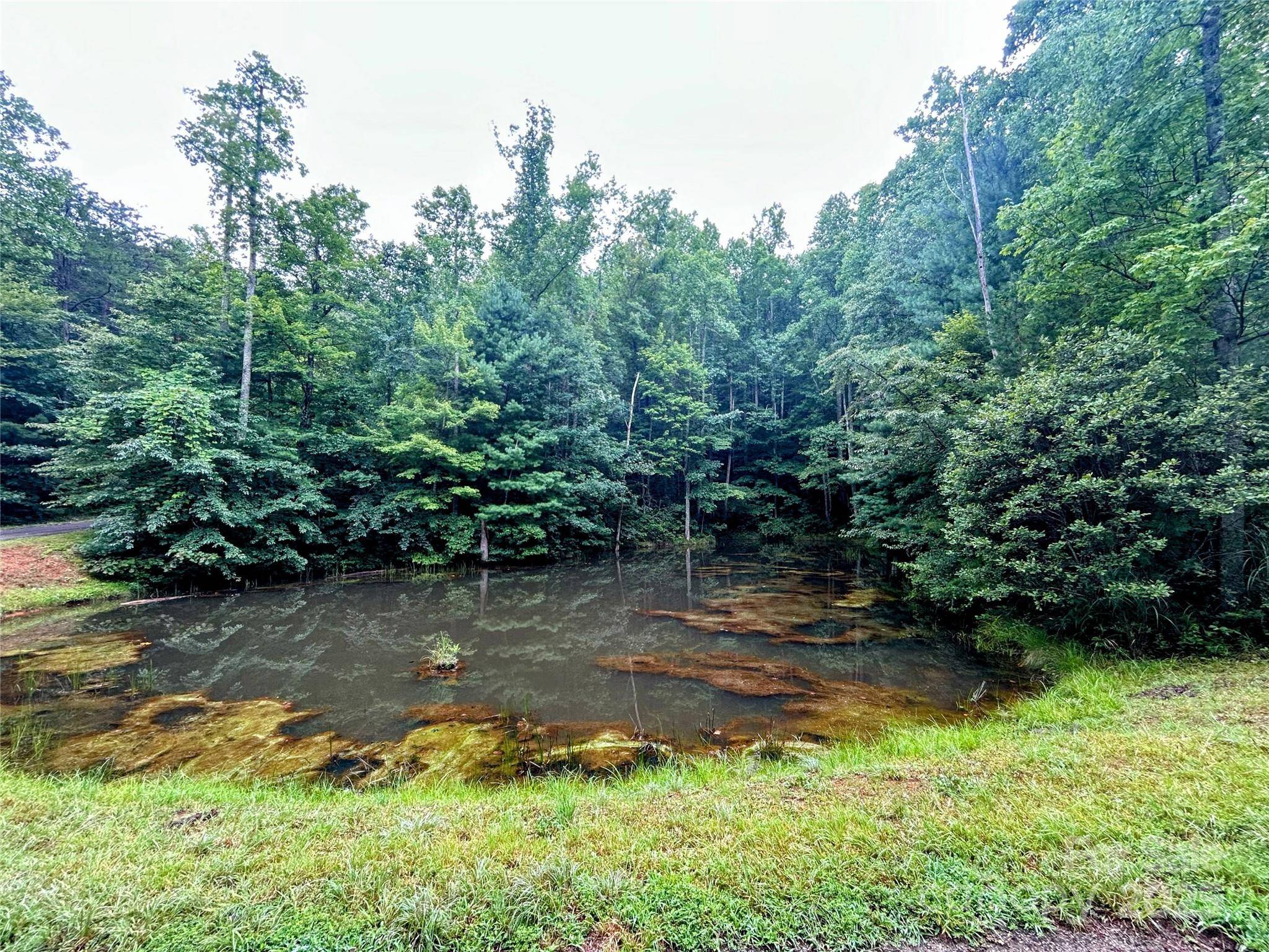 Lot 6 Azalea WAY, Saluda, NC 28773